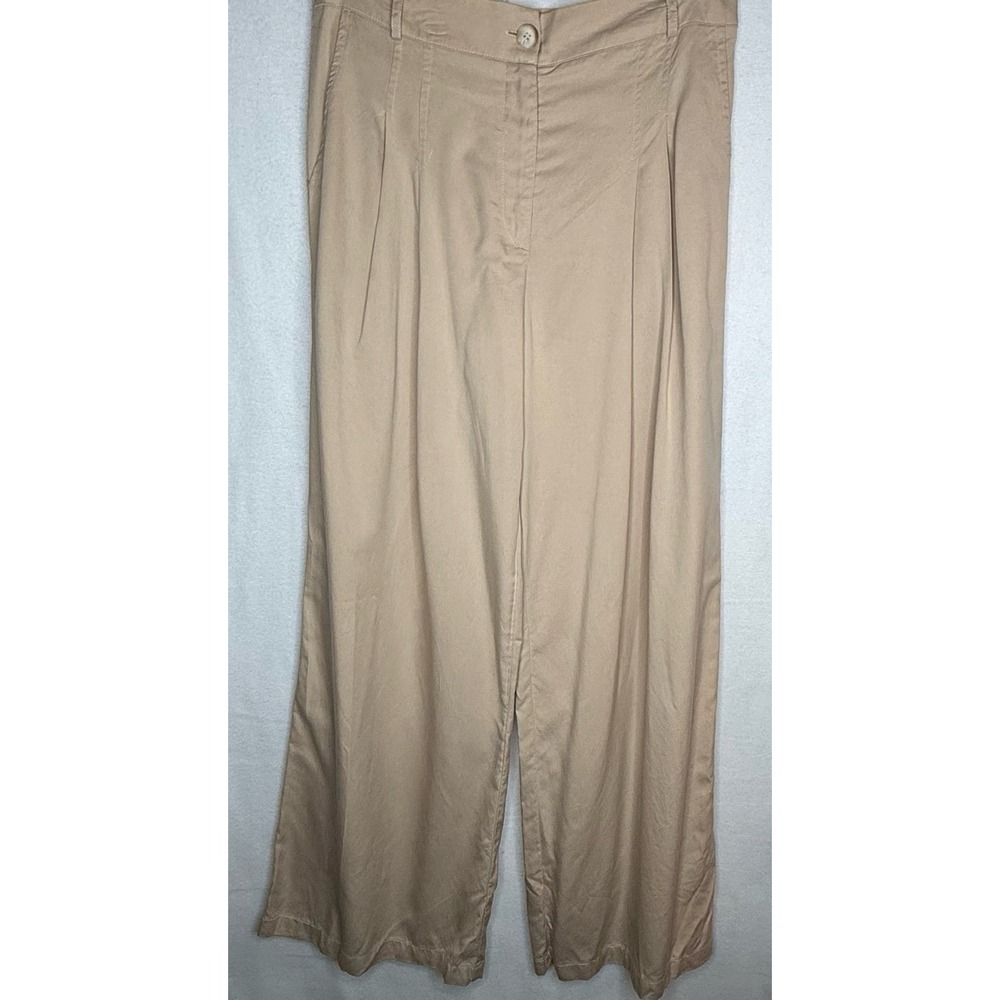 Amadi Anthropologie Pleated Wide Leg Pants Beige High Rise Tencel Womens Medium